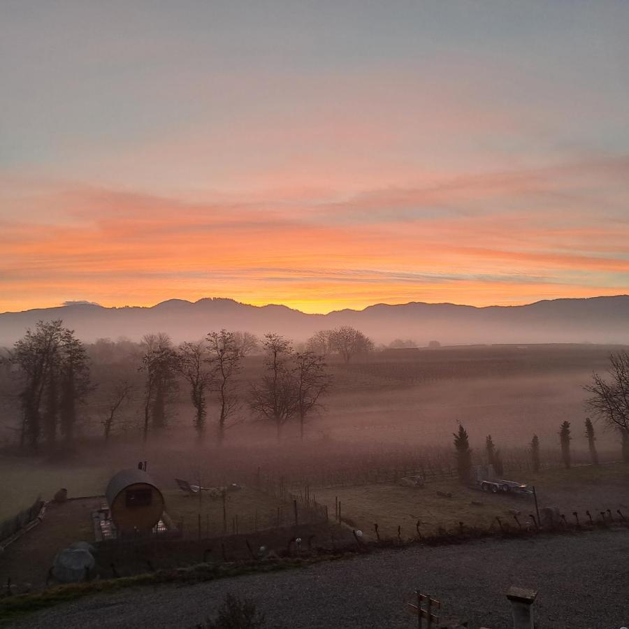 Ferienwohnung Castellberg Heitersheim Exteriör bild