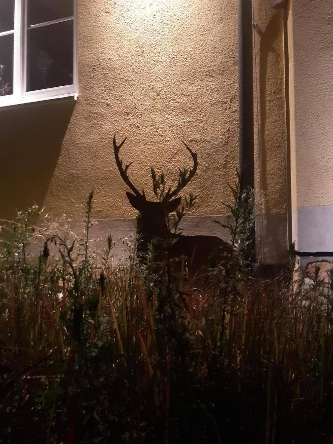 Ferienwohnung Castellberg Heitersheim Exteriör bild